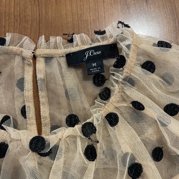 J Crew Sheer Mesh Camel Polka Dot Lace Yoke Blouse M Button Back - Picture 2 of 6